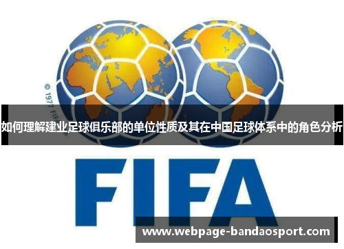如何理解建业足球俱乐部的单位性质及其在中国足球体系中的角色分析