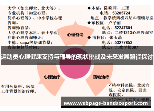 运动员心理健康支持与辅导的现状挑战及未来发展路径探讨
