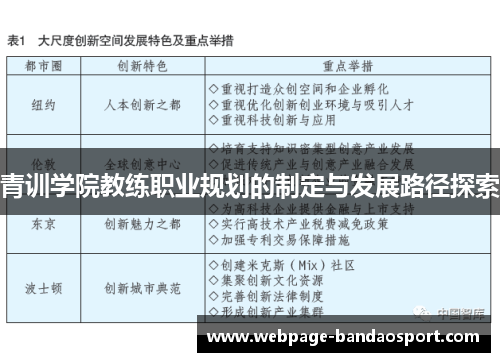 青训学院教练职业规划的制定与发展路径探索